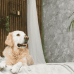 Joni Grooming Spa aromatherapy