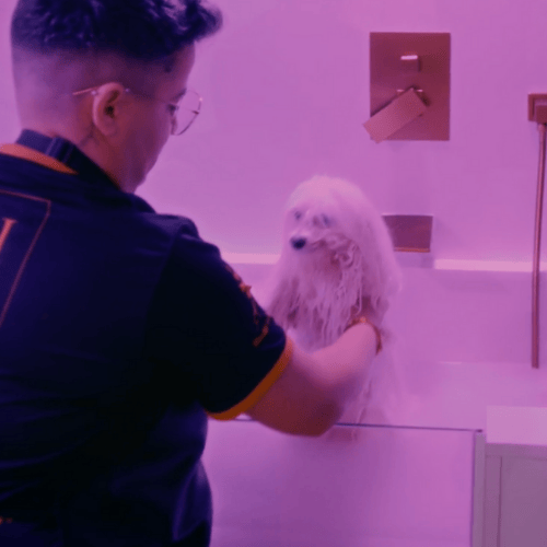 Joni Grooming SPA Boutique Whitening